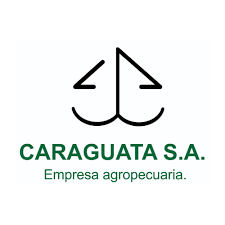 Cliente Caraguata